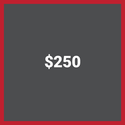 Place $250.00 on Account with Foothill Flying Club